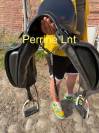 Sella da dressage Prestige Italia  17" - 2014