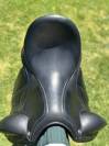 Selle Aachen Forestier 17'