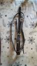 Martingale, cheval
