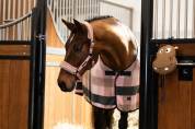 Jouet pour chevaux hippo platinum - Eskadron - cuir synth&eacute;tique