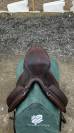 Selle aulion