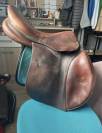 Selle antares 17,5 pouces 