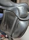 Selle de dressage 