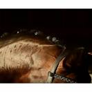 Quick Knot Jewel, clips pions en cristaux Swarovski Medley 12 pièces - Hes Tec