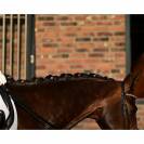 Quick Knot Jewel, clips pions en cristaux Swarovski Medley 12 pièces - Hes Tec