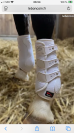 Guêtres veredus dressage 