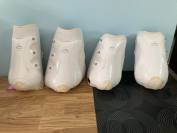 Guêtres veredus dressage 