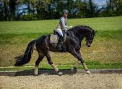 Tapis de selle Champagne DRESSAGE - Equestrian Stockholm