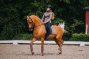 Tapis de selle Champagne DRESSAGE - Equestrian Stockholm