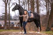 Tapis de selle Champagne DRESSAGE - Equestrian Stockholm