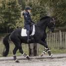 Guêtres de dressage Turnout Boots Air - Kentucky - Cuir nubuck artificiel