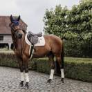 Tapis de selle Wool - Kentucky - Matelassage en étoiles