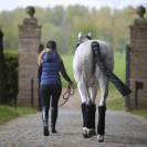 Cotons américains (Set de 4) - Kentucky