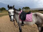Selle dressage zaldi