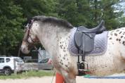 Selle de dressage kavalkade 17,5