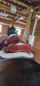 selle dressage devoucoux