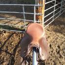 Sella da endurance  Hugues Petel 17.5" - 2022