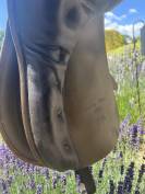 Selle Kieffer et accessoires 