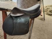Selle forestier 