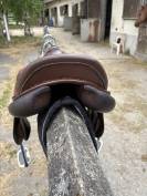 Selle forestier 