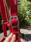 Licol taille poney + longe 
