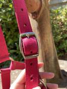 Licol taille cheval 