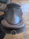Bardette Guy Cantin 15,5