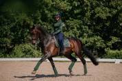 Tapis de selle DRESSAGE Forest Green - Equestrian Stockholm - Tissu déperlant