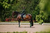 Tapis de selle DRESSAGE Forest Green - Equestrian Stockholm - Tissu déperlant
