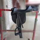 Bardette taille poney shetland