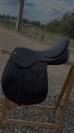 Selle Norton 17"