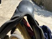 Selle wintec dressage isabelle Werth