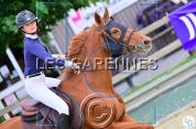 Polo de concours Animo