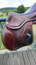 Selle CWD