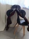 Selle australienne 