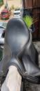 Selle dressage Childéric 
