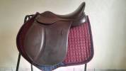 Sella mista Arena WIDE 17" - 2025