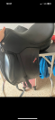 Selle de dressage 