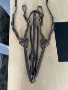 Collier de chasse 5 points Time Rider taille cheval 