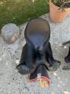 Selle de dressage Prestige