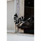 Jouet Suspendu pour Cheval - Hippo-Tonic - Cuir et Fibre Naturelle