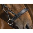 Bridon side pull Pro Confort - Norton