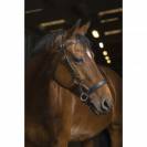 Bridon side pull Pro Confort - Norton