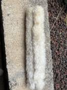Fourreau de protection muserolle 