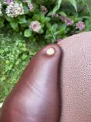 Selle Meyer 18 pommeau Marianne 2024 