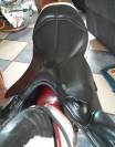 Selle prestige endurance 2