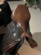Selle forestier 