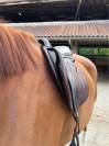 Selle CWD 