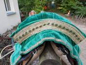 Sella portoghese   14.5" - 2010