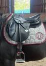 Selle Meyer 17,5